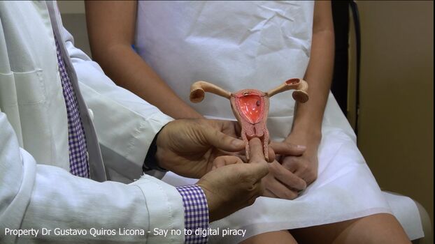 Dr. Gustavo Quirós Licona