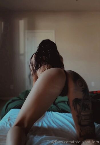 ldmfitmodel