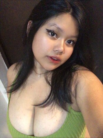 nesh1206