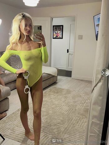 Full leaked Petitesneakylink  page private onlyfans photo