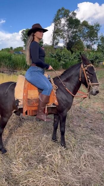 Full leaked Vanessa araujo private onlyfans photo