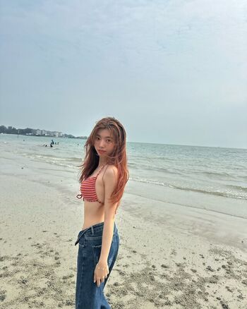 Yong Sim Nie